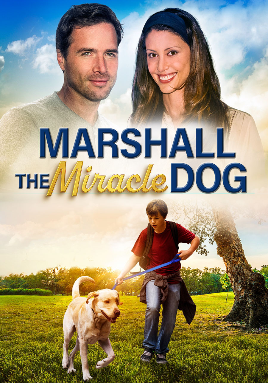 Marshall the Miracle Dog