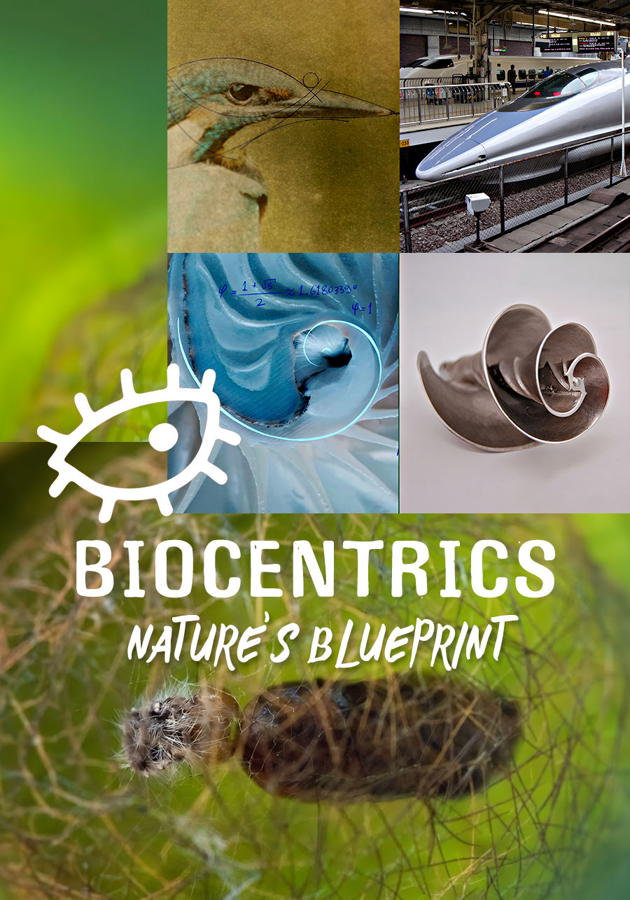Biocêntricos
